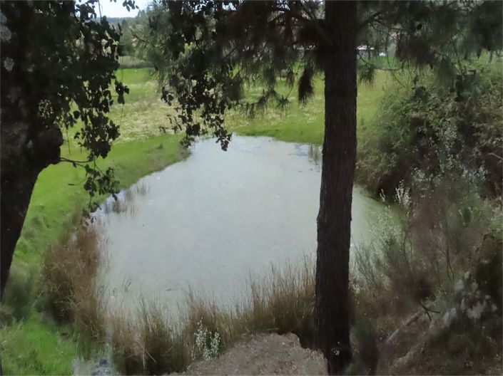 Image No.5-Propriété à vendre à Castelo Branco