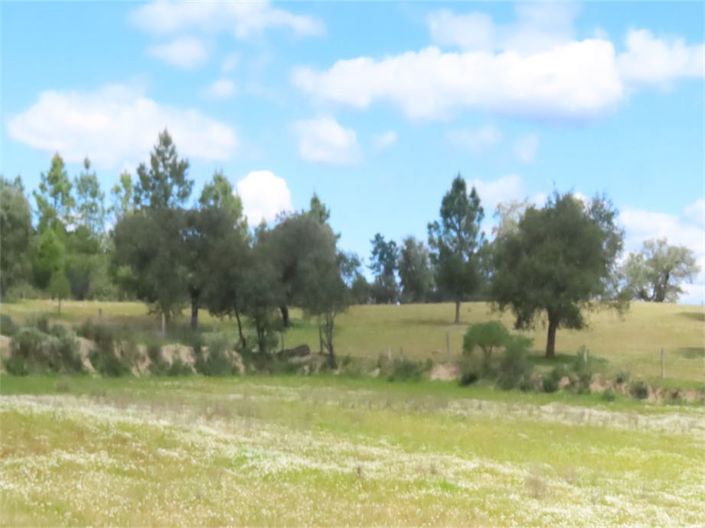 Image No.50-Propriété à vendre à Castelo Branco