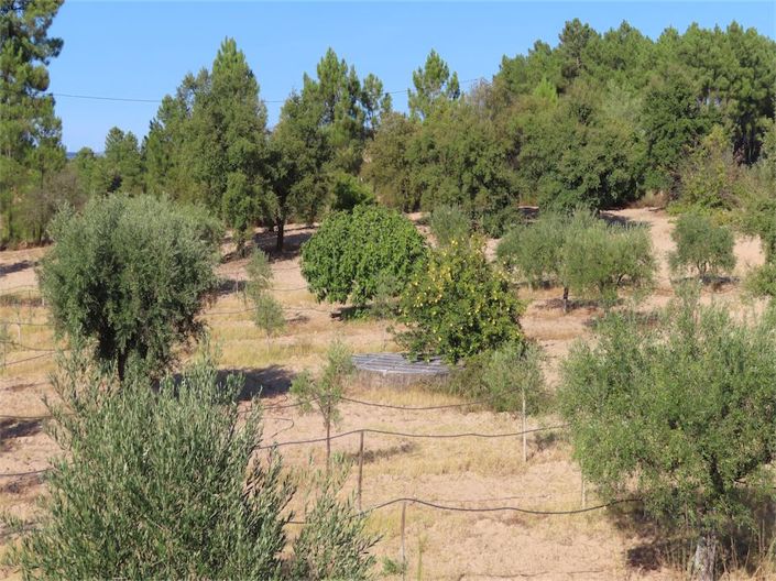 Image No.41-Propriété à vendre à Castelo Branco