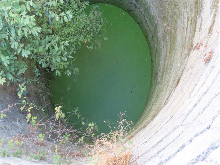 Image No.43-Propriété à vendre à Castelo Branco