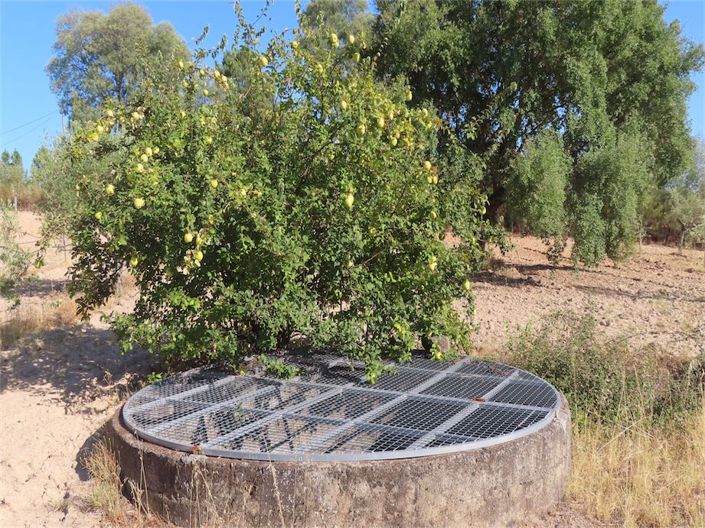Image No.44-Propriété à vendre à Castelo Branco