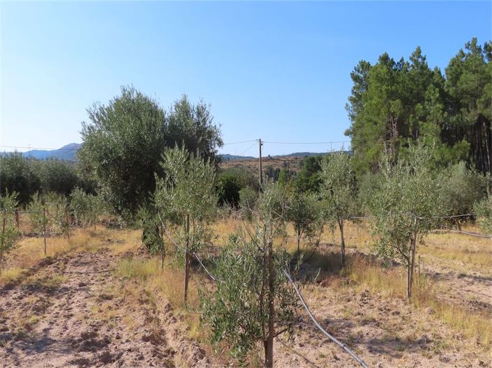 Image No.46-Propriété à vendre à Castelo Branco