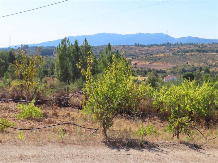 Image No.5-Propriété à vendre à Castelo Branco