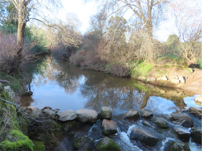 Image No.11-Propriété de 2 chambres à vendre à Castelo Branco