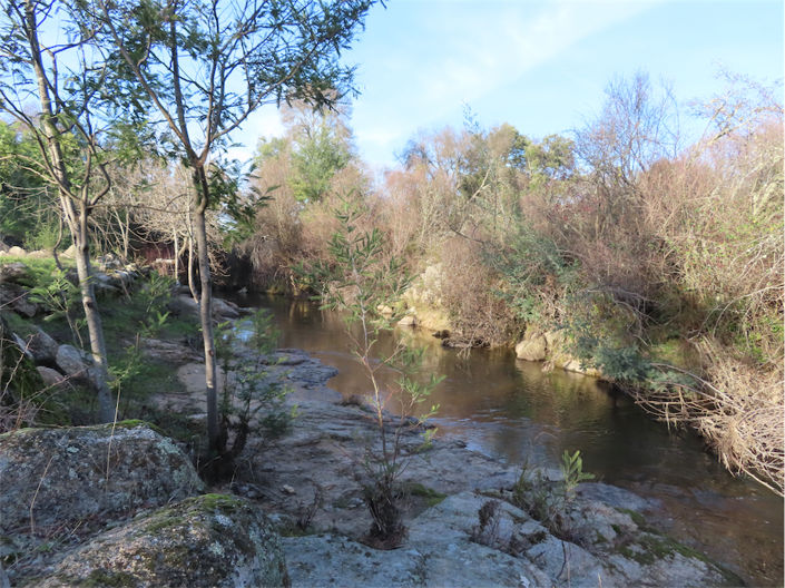 Image No.13-Propriété de 2 chambres à vendre à Castelo Branco