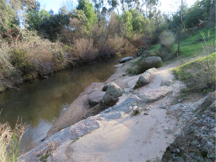 Image No.14-Propriété de 2 chambres à vendre à Castelo Branco