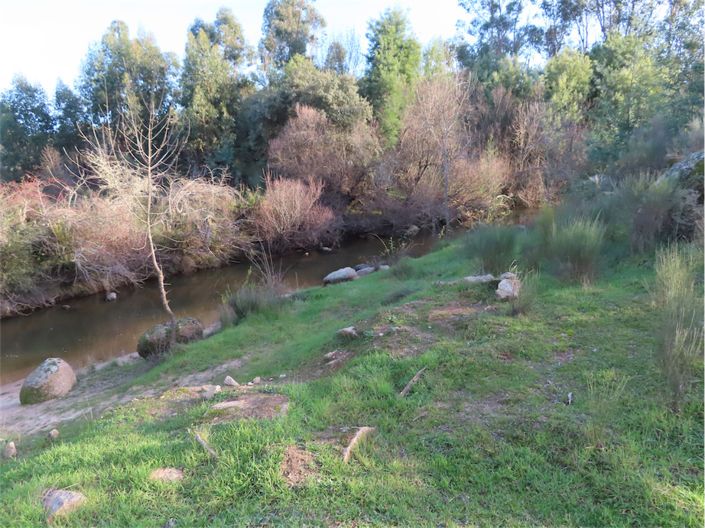 Image No.15-Propriété de 2 chambres à vendre à Castelo Branco