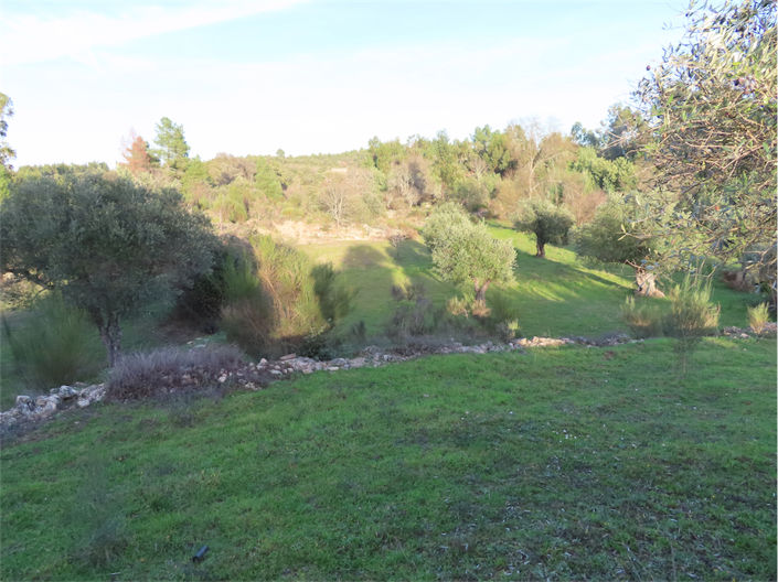 Image No.16-Propriété de 2 chambres à vendre à Castelo Branco