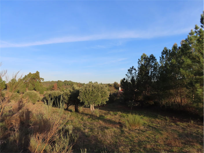 Image No.17-Propriété de 2 chambres à vendre à Castelo Branco