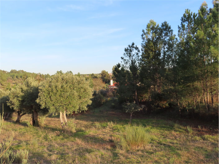 Image No.18-Propriété de 2 chambres à vendre à Castelo Branco