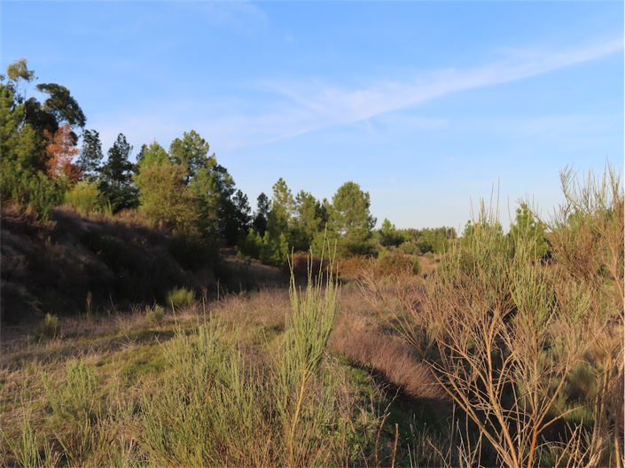 Image No.19-Propriété de 2 chambres à vendre à Castelo Branco
