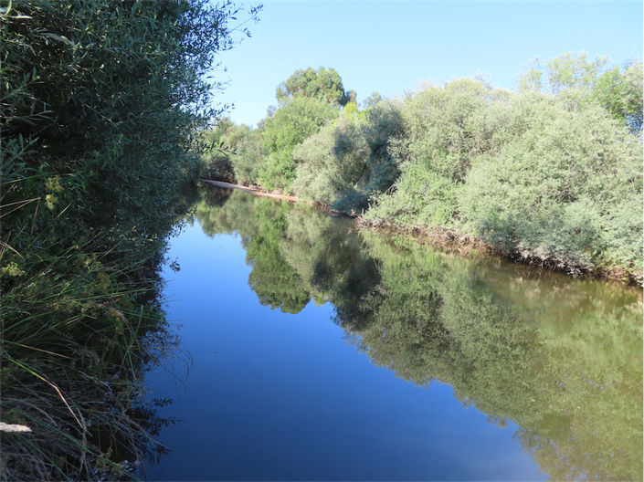 Image No.2-Propriété de 2 chambres à vendre à Castelo Branco