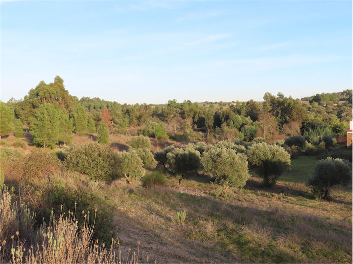 Image No.20-Propriété de 2 chambres à vendre à Castelo Branco