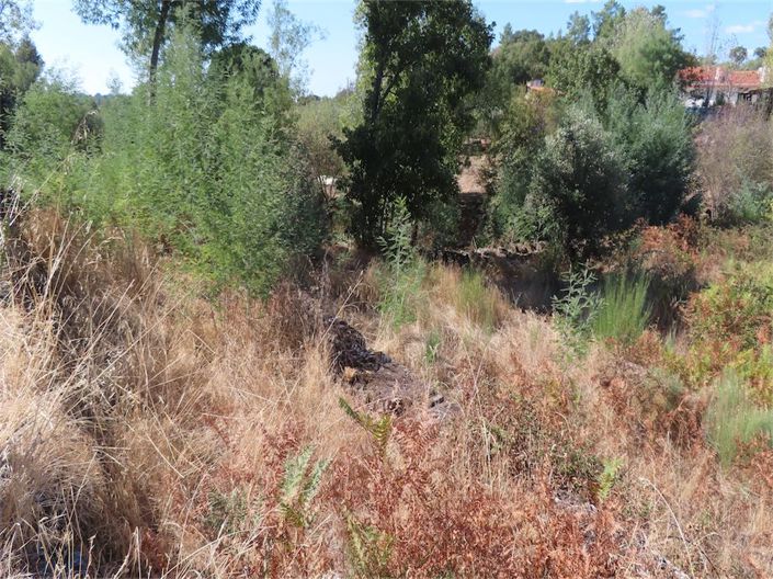 Image No.12-Propriété à vendre à Castelo Branco