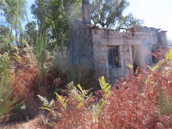 Image No.15-Propriété à vendre à Castelo Branco