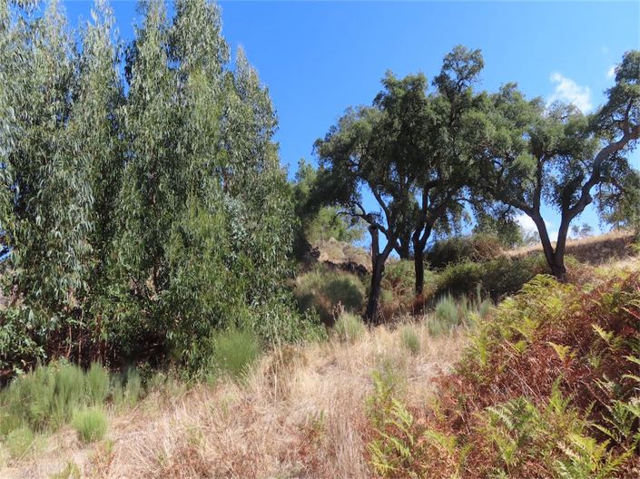 Image No.16-Propriété à vendre à Castelo Branco