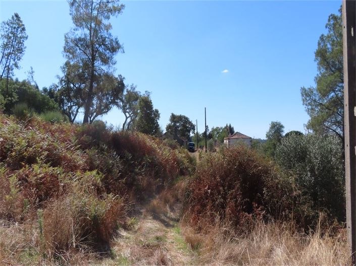 Image No.18-Propriété à vendre à Castelo Branco