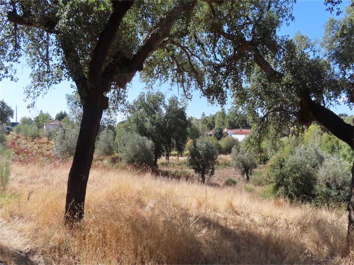 Image No.19-Propriété à vendre à Castelo Branco