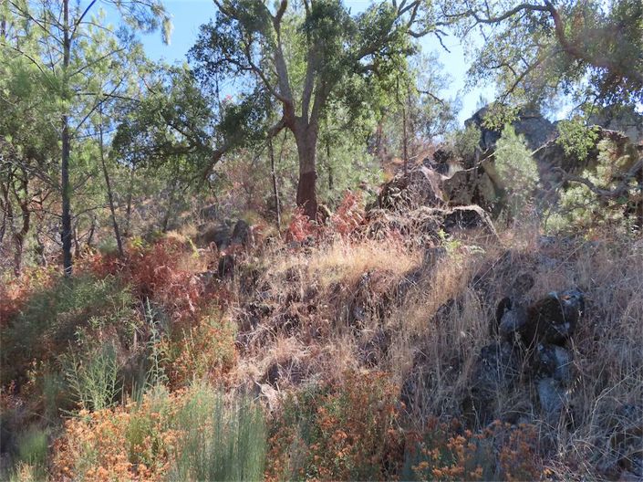 Image No.22-Propriété à vendre à Castelo Branco