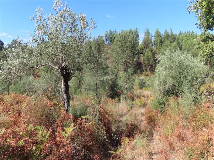 Image No.27-Propriété à vendre à Castelo Branco