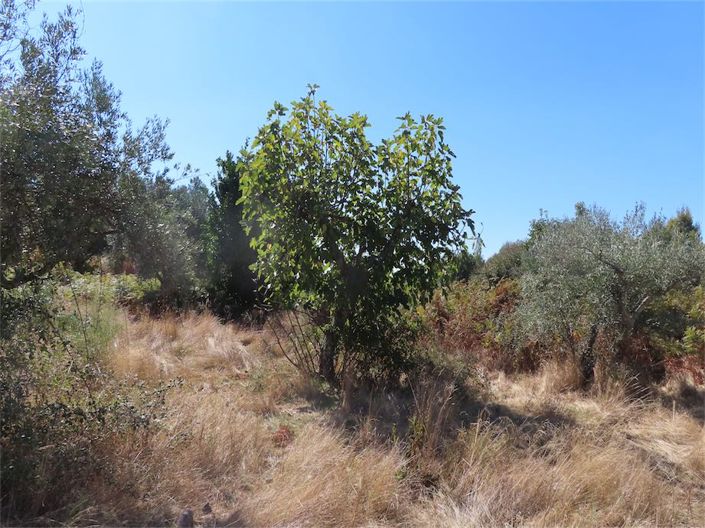 Image No.34-Propriété à vendre à Castelo Branco