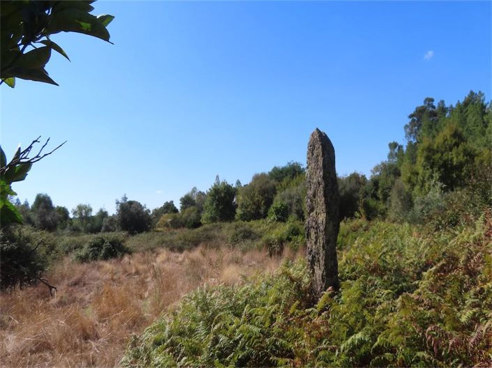 Image No.35-Propriété à vendre à Castelo Branco