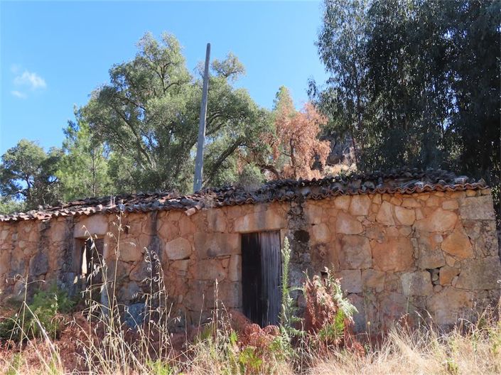 Image No.37-Propriété à vendre à Castelo Branco