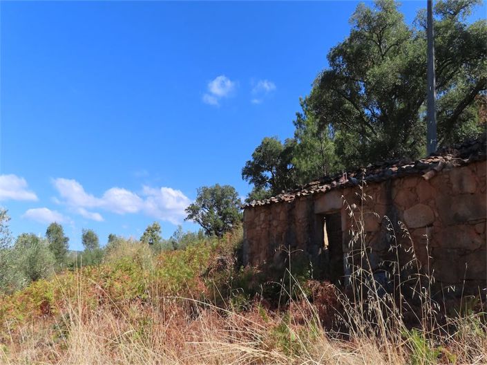 Image No.38-Propriété à vendre à Castelo Branco