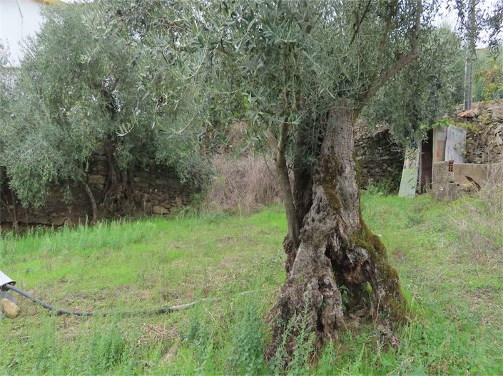 Image No.10-Propriété à vendre à Castelo Branco