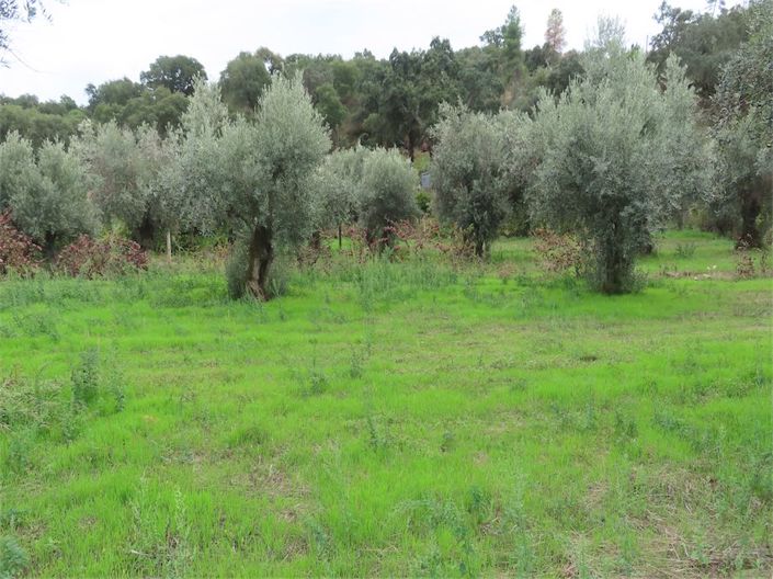 Image No.12-Propriété à vendre à Castelo Branco