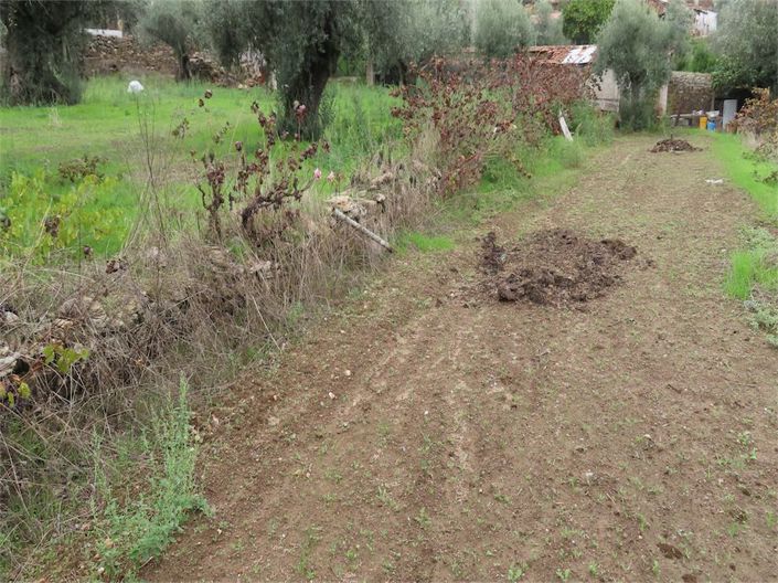 Image No.16-Propriété à vendre à Castelo Branco