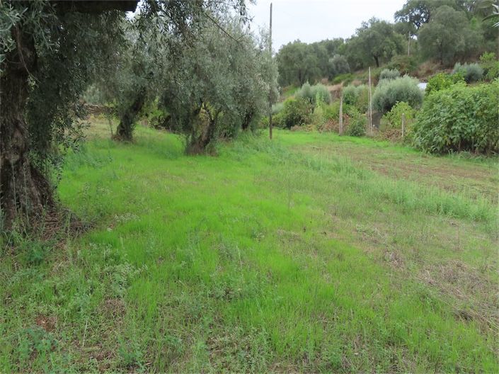 Image No.17-Propriété à vendre à Castelo Branco