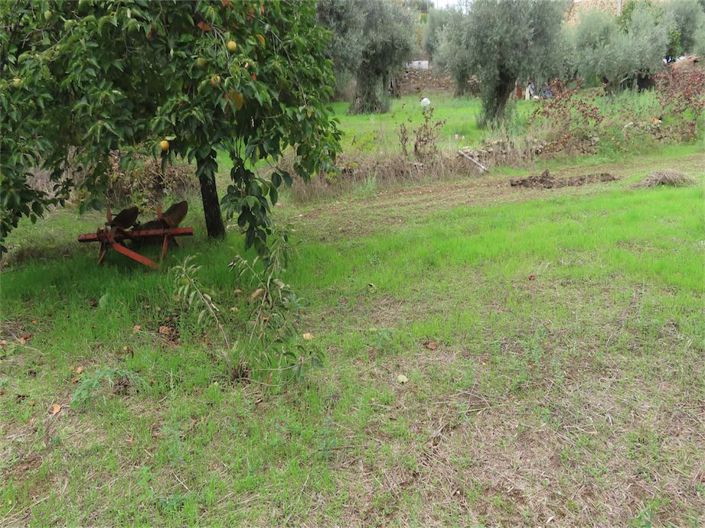 Image No.18-Propriété à vendre à Castelo Branco