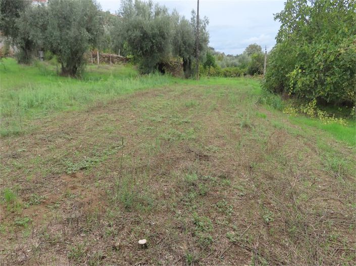 Image No.19-Propriété à vendre à Castelo Branco