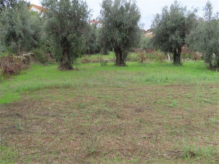 Image No.20-Propriété à vendre à Castelo Branco