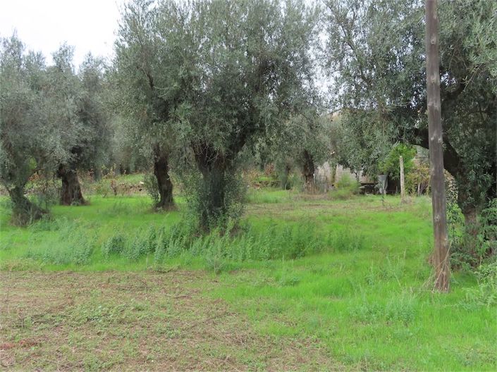 Image No.21-Propriété à vendre à Castelo Branco