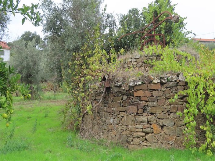 Image No.22-Propriété à vendre à Castelo Branco