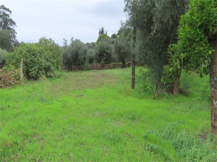 Image No.23-Propriété à vendre à Castelo Branco