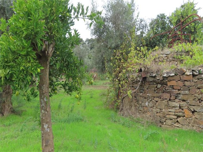 Image No.24-Propriété à vendre à Castelo Branco