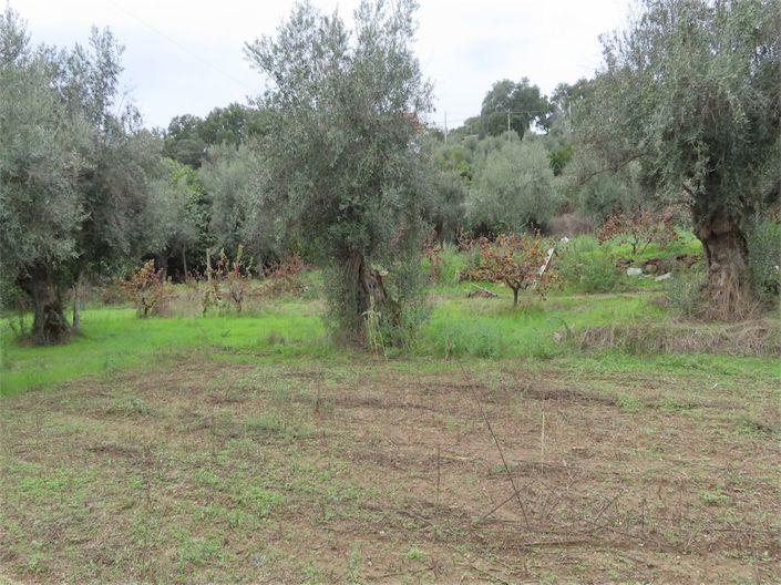 Image No.25-Propriété à vendre à Castelo Branco