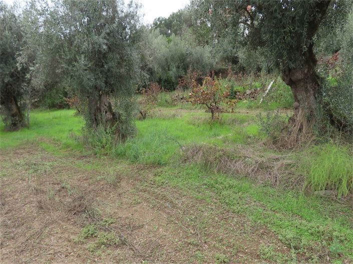 Image No.30-Propriété à vendre à Castelo Branco