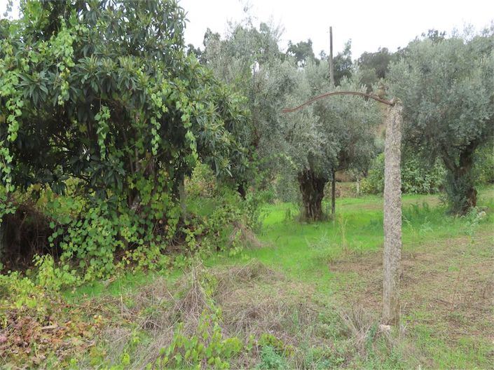 Image No.31-Propriété à vendre à Castelo Branco