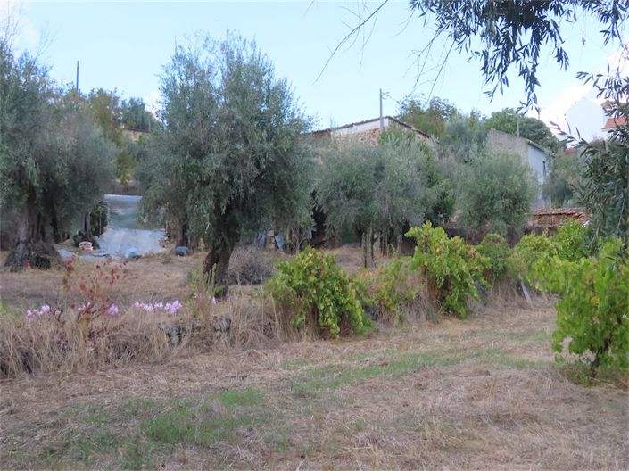 Image No.38-Propriété à vendre à Castelo Branco