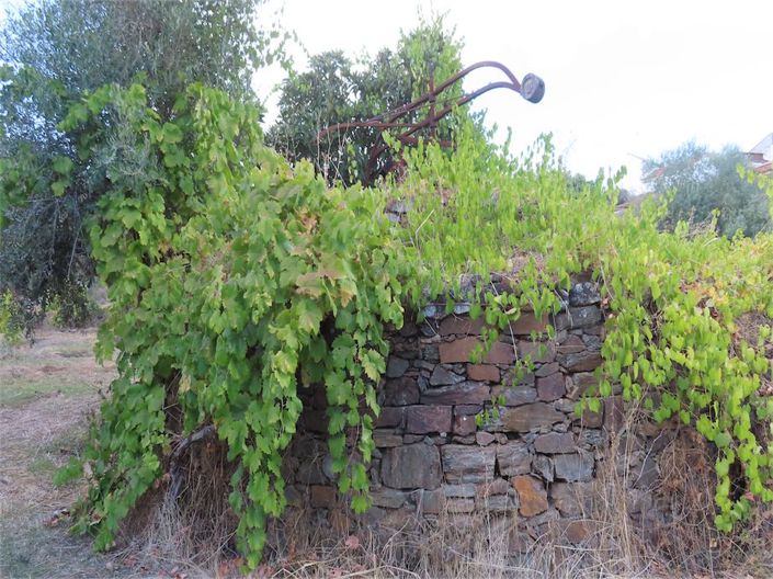 Image No.40-Propriété à vendre à Castelo Branco