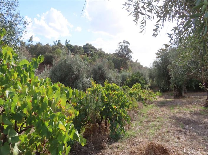 Image No.49-Propriété à vendre à Castelo Branco