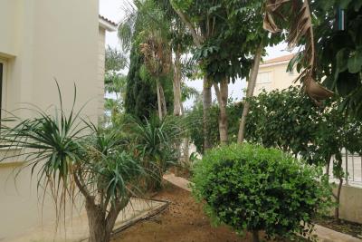 151537442_721375895233077_7266989489308391574_n