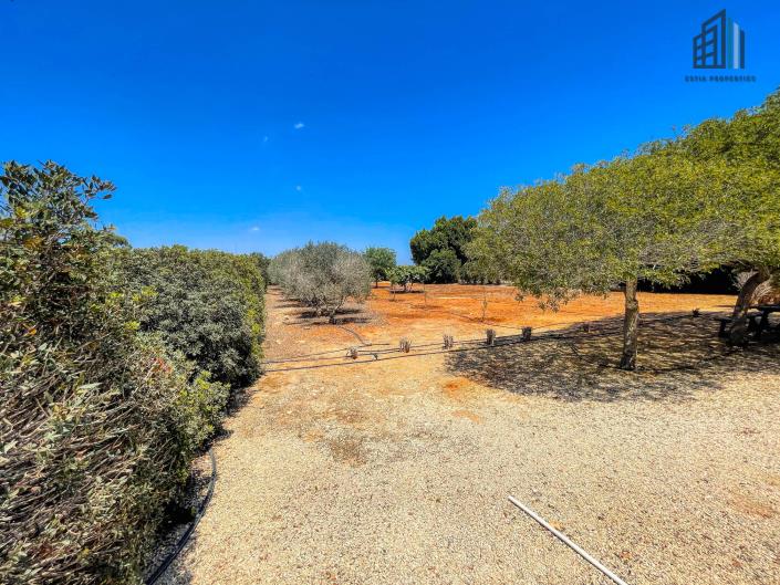 Image No.30-5 Bed Villa for sale