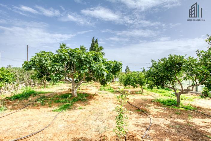 Image No.31-4 Bed Villa for sale