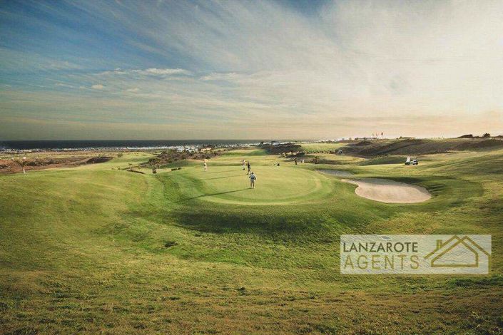 Image No.3-Terre à vendre à Tias