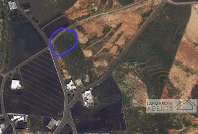 868928e1-0c04-a64e-9291-a4a747ff7ff0